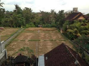 Pondok Mertha House Ubud Екстериор снимка